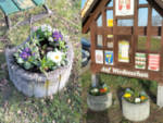 Blumenk&uuml;bel bepflanzt