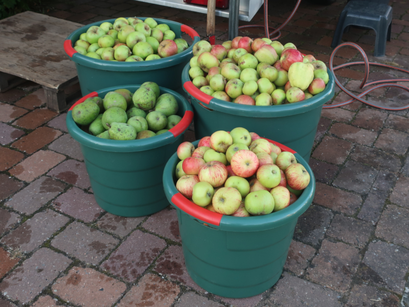 &Auml;pfel und Birnen